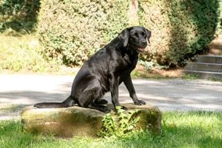 Jani einzeln UFO 4207 20230808 Bearbeitet