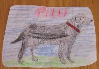 kinderzeichnung hund pitti b2d6ee1494