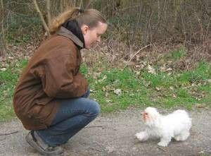 kleiner hund mit frau